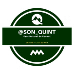 Son Quint Ràdio