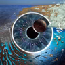 180 grados - Canciones para recibir al eclipse - 12/08/26