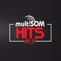 Multisom Hits 89.5