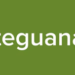 Esteguanare