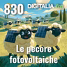 Digitalia #830 - Le pecore fotovoltaiche