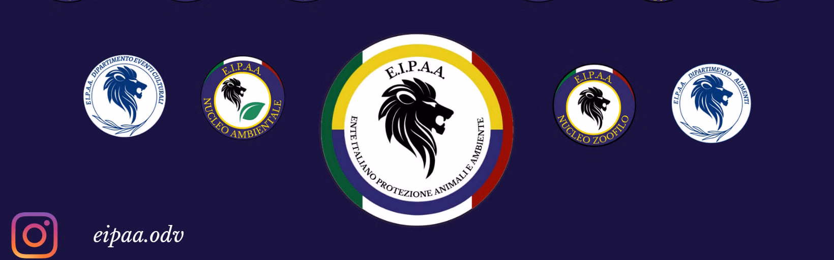 EIPAA-B