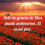En la Obediencia esta la Bendicion