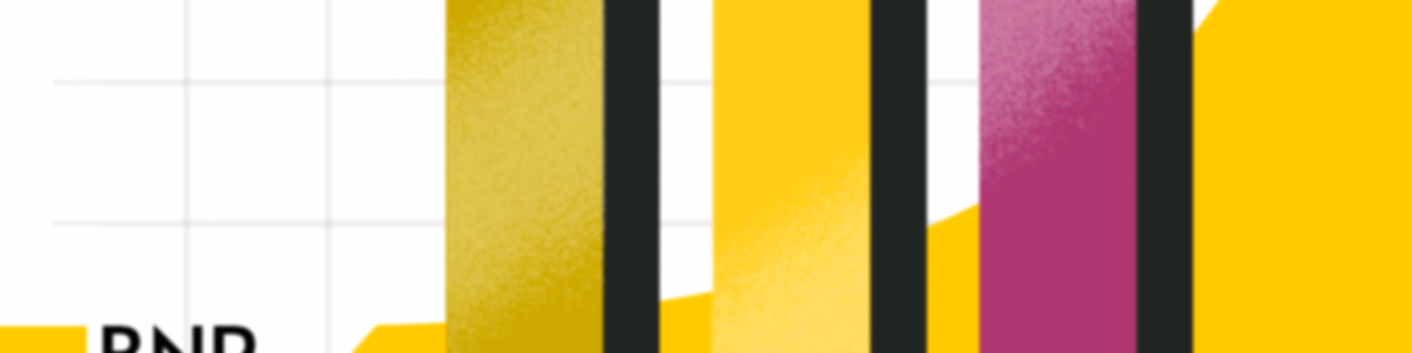 BNR Beleggerspanel | BNR