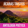 JICARAS TRISTES PRESENTACION DE ANTOLOGIA POETICA 📜📚 | Alfredo Espino Poemas  | Valentina Zoe Poesia