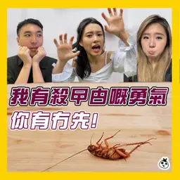 【OK 聽人講!EP 139】知唔知有咩比起被討厭的勇氣更加強?