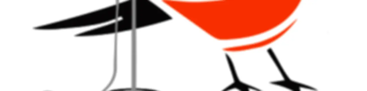 Bird's Eye View - Baltimore Orioles Unofficial Fan Podcast