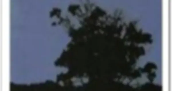 ¿Está habitada la Luna?