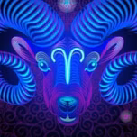 Aries Nation