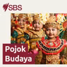 Diaspora celebrates Indonesia's anniversary for 'togetherness, pride, cure for longing' - Diaspora Rayakan HUT RI di Sydney demi 'Kekeluargaan, Kebanggaan, Obat Rindu'
