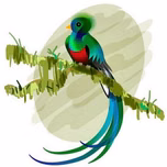 radio quetzal