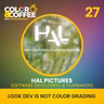 Look Dev Is Not Color Grading with the HAL Pictures Team