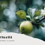 Kristenlivet fra a til å | Thomas N. Eriksen