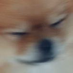 ReiRei
