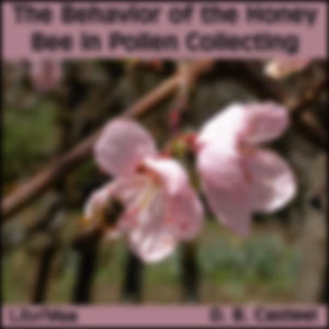 Behavior of the Honey Bee in Pollen Collecting, The by D. B. Casteel (1877 - 1958)