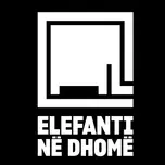 ELEFANTI NË DHOMË