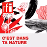 Journée mondiale du chat noir: pourquoi certains animaux nous rendent-ils superstitieux?