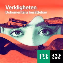 Verkligheten