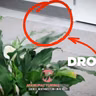 LISTEN: Northwestern Engineers Made a ‘Phantom’ Drone That Vanishes in Plain Sight
