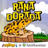 Rana Dorada de Panamá: el animal nacional que desapareció