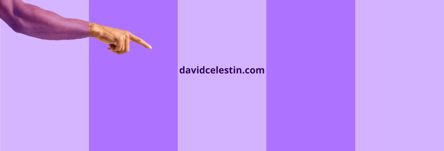 David Celestin (DAVIDCELESTIN.COM)