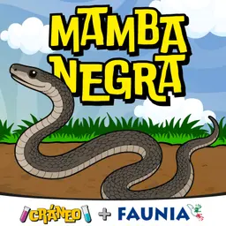 Mamba Negra: la serpiente más temida de África