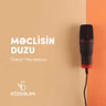 Məclisin duzu | Üzeyir Hacıbəyov