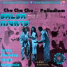 Salsa Nights 041