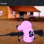 Los ñapuus