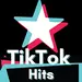 TikTok - Hits