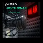 Taller de radio voces nocturnas
