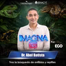 Descubre el fascinante mundo de los anfibios y reptiles