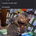 Xavineta