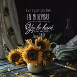 VIVIR A PLENITUD