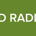 BD RADIO
