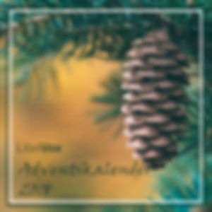 Adventskalender 2018 by Various