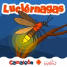 Luciérnagas: El lenguaje de la noche