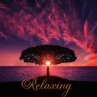 Adult contemporary music relaxing