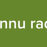 Pannu radio