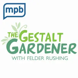 The Gestalt Gardener | Fantastic Fruits and Where to Grow Them