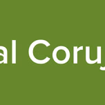 Portal Corujinha