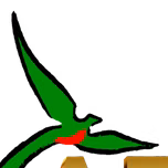 Aecm Jakalteko