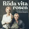 Förklara som för ett väldigt litet barn!