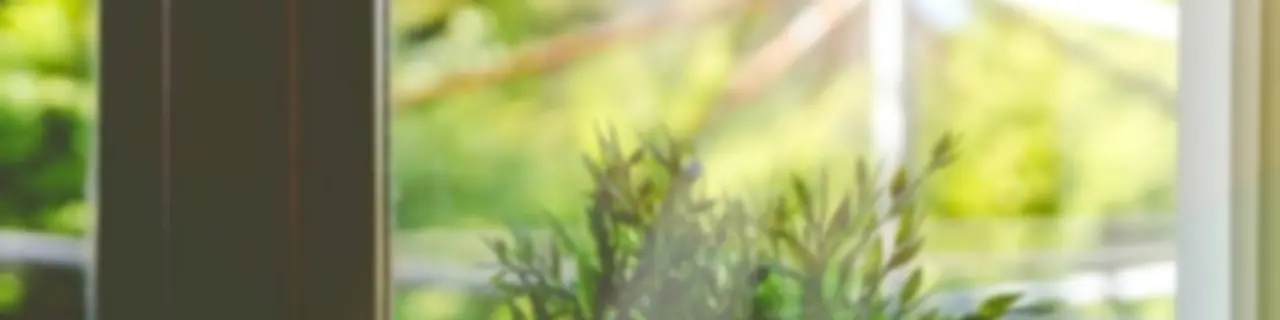 A través de la Ventana (fake)