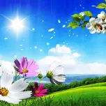 BAHAR FM