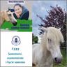 #222 Samotność, osamotnienie i bycie samemu