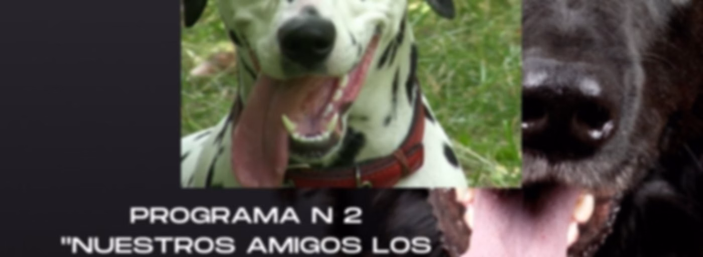 PROGRAMA N 2. RADIO ESCOLAR 254