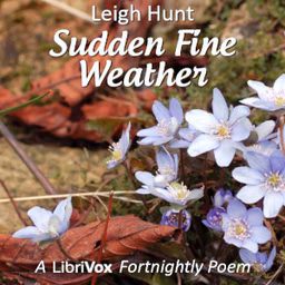 Sudden Fine Weather