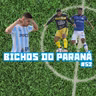 Bichos do Paraná #52 - FC Cascavel é o primeiro paranaense classificado na Série D e Londrina volta a vencer na Série B