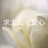 301 【求主加增愛心】